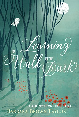 cover image Learning to Walk in the Dark