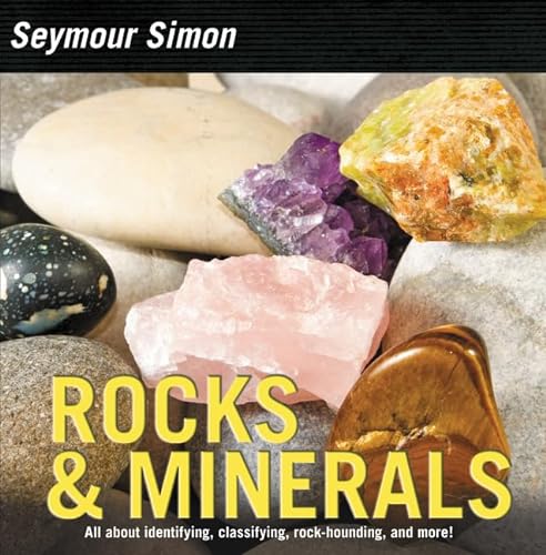 cover image Rocks & Minerals