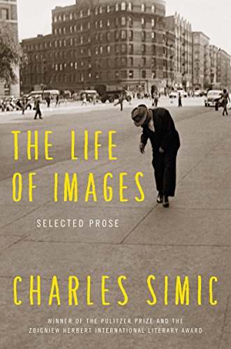 cover image The Life of Images: Selected Prose