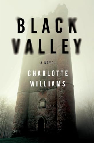 cover image Black Valley