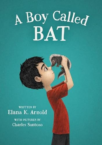 cover image A Boy Called Bat