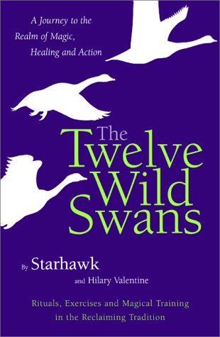 cover image The Twelve Wild Swans: A Journey to the Realm of Magic, Healing and Action