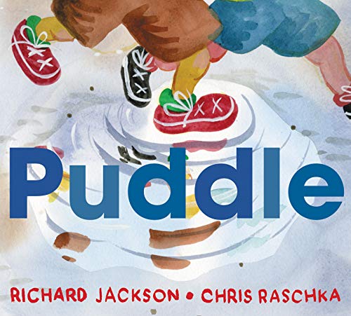 cover image Puddle
