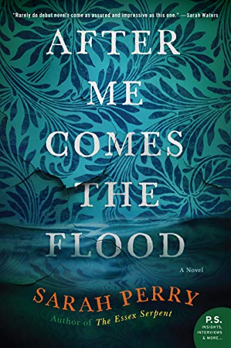 cover image After Me Comes the Flood