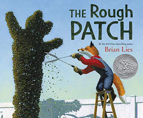 cover image The Rough Patch