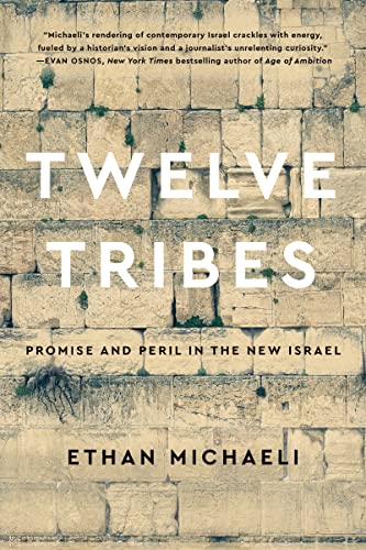 cover image Twelve Tribes: Promise and Peril in the New Israel