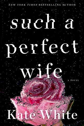 cover image Such a Perfect Wife