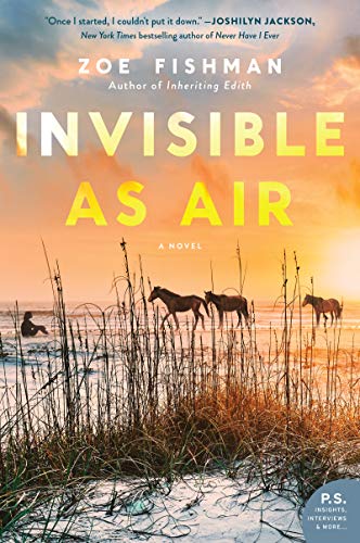 cover image Invisible as Air