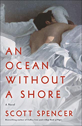 cover image An Ocean without a Shore 
