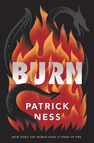 cover image Burn