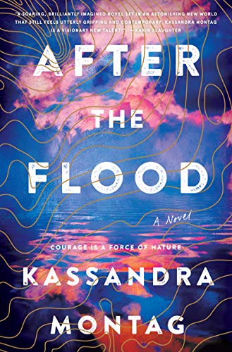 cover image After the Flood