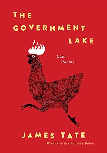cover image The Government Lake