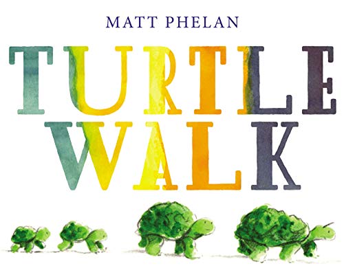 cover image Turtle Walk