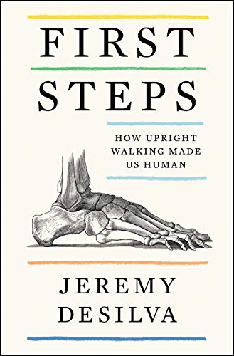 cover image First Steps: How Upright Walking Made Us Human