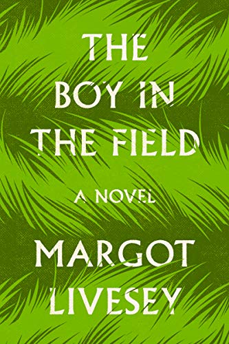 cover image The Boy in the Field