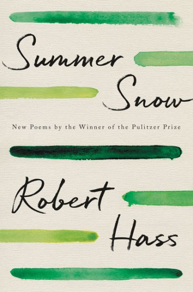 cover image Summer Snow
