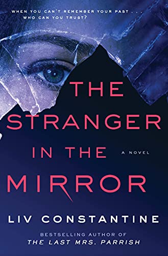 cover image The Stranger in the Mirror