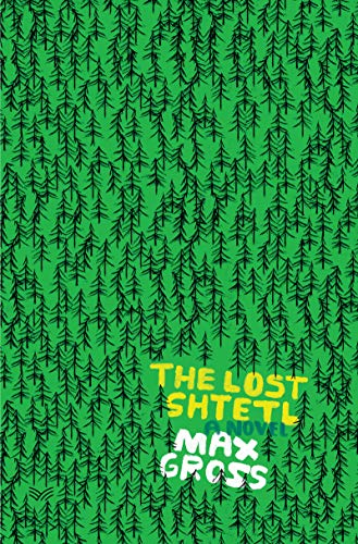cover image The Lost Shtetl