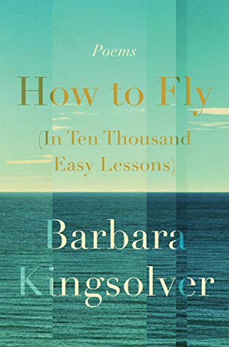 cover image How to Fly (In Ten Thousand Easy Lessons)