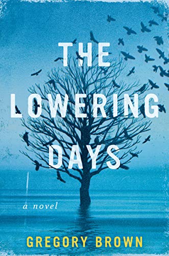 cover image The Lowering Days