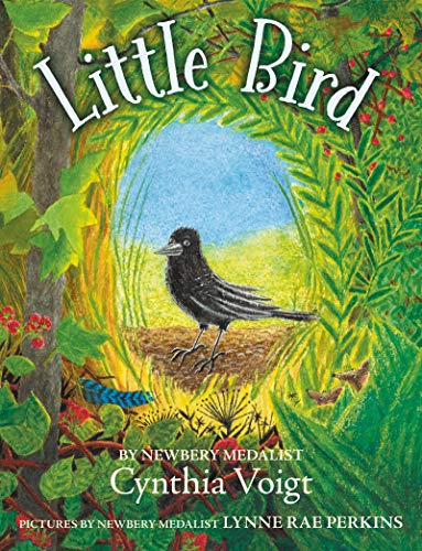 cover image Little Bird