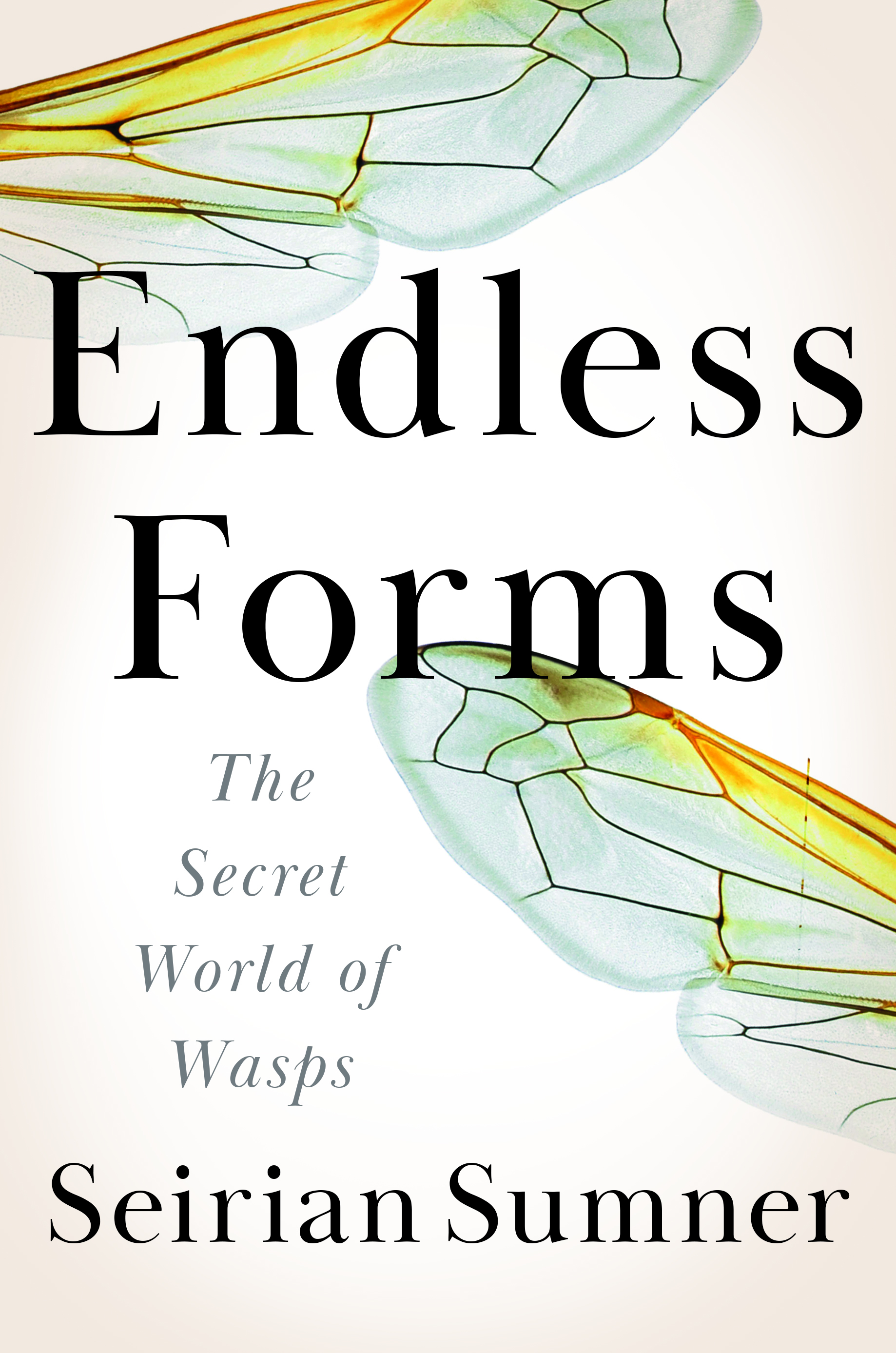 cover image Endless Forms: The Secret World of Wasps