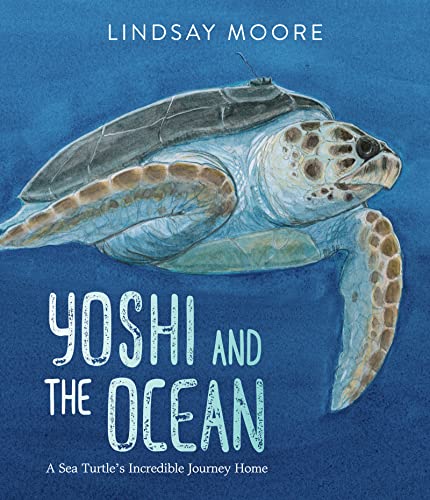 cover image Yoshi and the Ocean: A Sea Turtle’s Incredible Journey Home