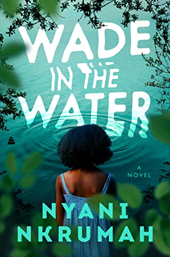 cover image Wade in the Water
