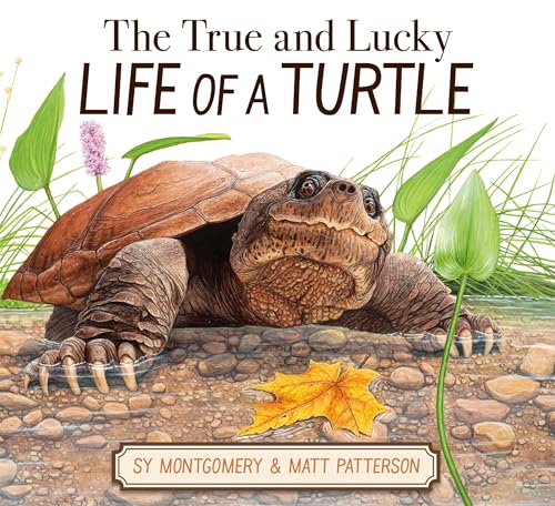 cover image The True and Lucky Life of a Turtle