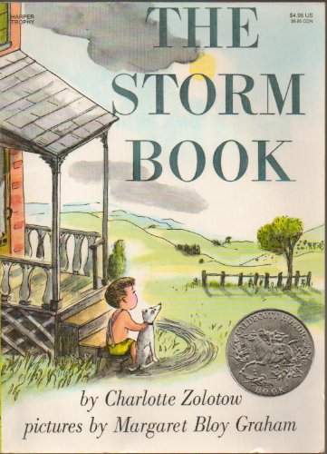 cover image The Storm Book