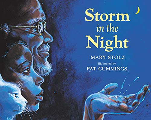 cover image Storm in the Night