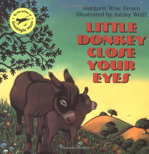 cover image Little Donkey Close Your Eyes