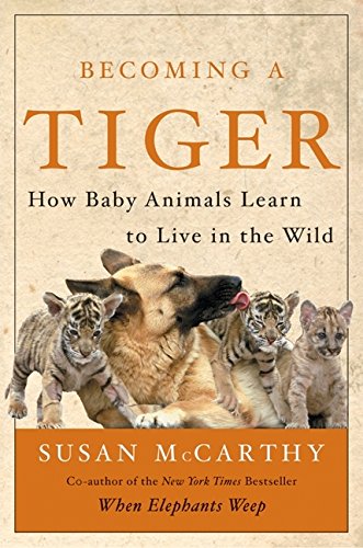 cover image BECOMING A TIGER: How Baby Animals Learn to Live in the Wild