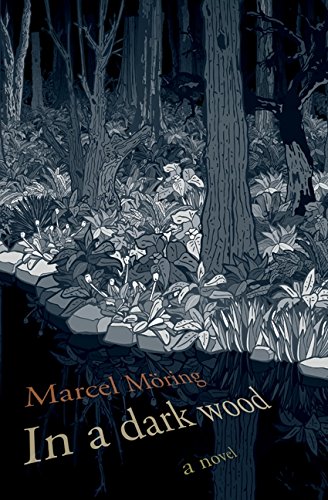 cover image In a Dark Wood
