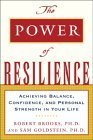 cover image THE POWER OF RESILIENCE: Achieving Balance, Confidence, and Personal Strength in Your Life