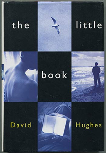 cover image The Little Book