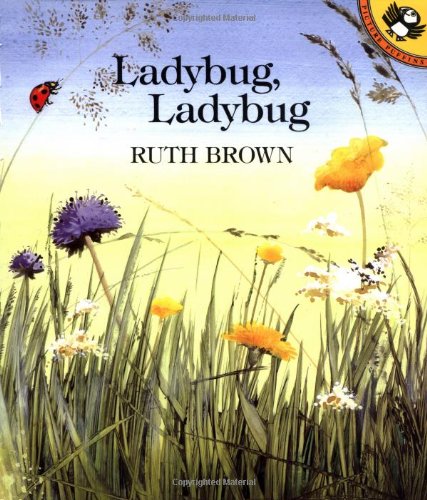 cover image Ladybug, Ladybug