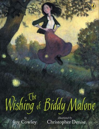 cover image The Wishing of Biddy Malone