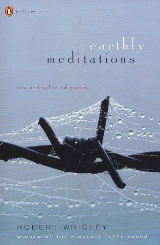 cover image Earthly Meditations: New and Selected Poems