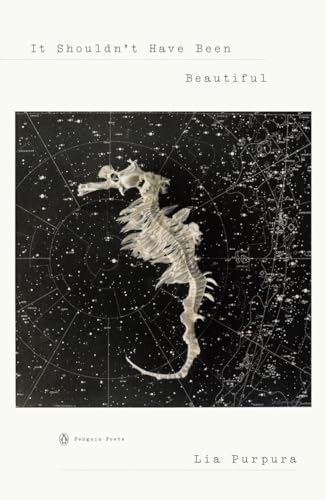 cover image It Shouldn’t Have Been Beautiful