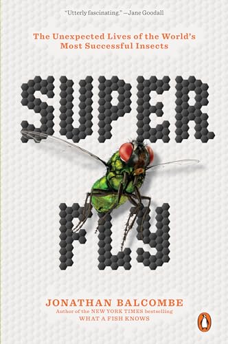 cover image Super Fly: The Unexpected Lives of the World’s Most Successful Insects