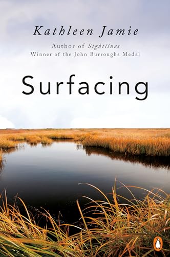 cover image Surfacing 