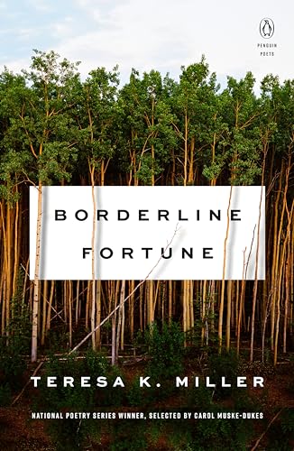 cover image Borderline Fortune