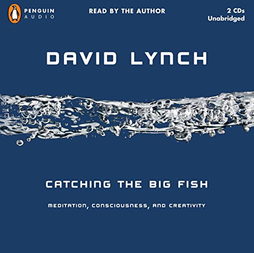 cover image Catching the Big Fish