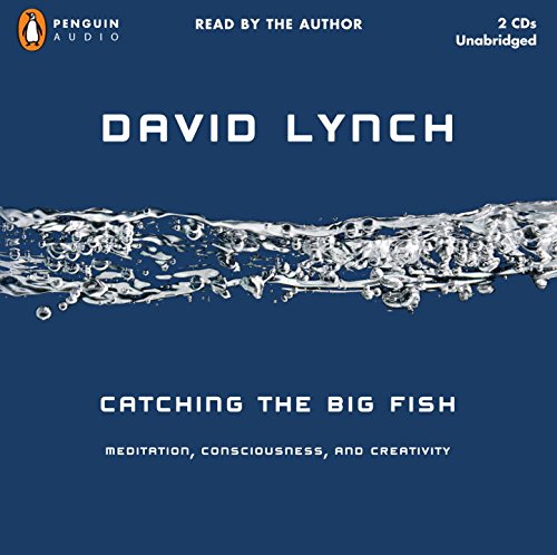 cover image Catching the Big Fish