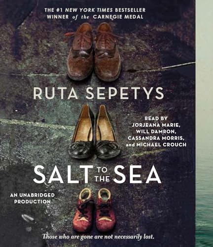 cover image Salt to the Sea