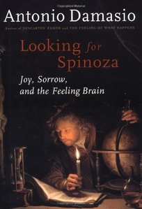 LOOKING FOR SPINOZA: Joy