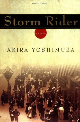 cover image STORM RIDER