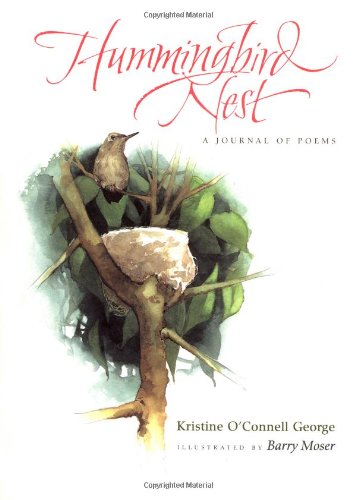 cover image HUMMINGBIRD NEST: A Journal of Poems