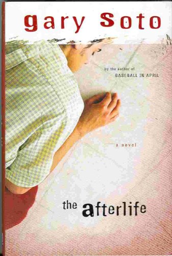 cover image THE AFTERLIFE